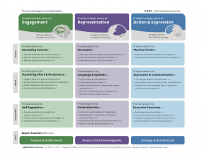 Universal Design for Learning Guidelines Version 2.2 (Graphic Organizer)