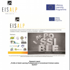 Profile of Adult Learning Professionals in Correctional Criminal Justice System
